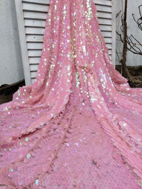 Bedazzled Pink Sequins Long Train Bedazzled Pink Sequins Long Train