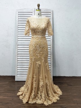 champagne brown lace tulle sleeved mermaid formal dress champagne brown lace tulle sleeved mermaid formal dress
