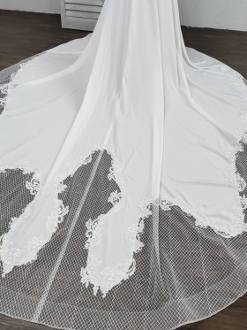 lace trimmed spandex and mesh long train