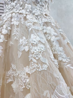 champagne tulle with floral appliques