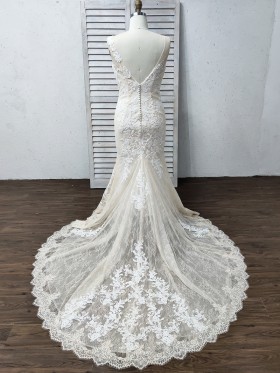 illusion light champagne lace and mesh chapel train wedding dress illusion light champagne lace and mesh chapel train wedding dress
