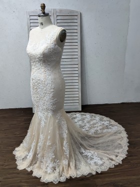 mermaid silhouette light champagne long wedding dress