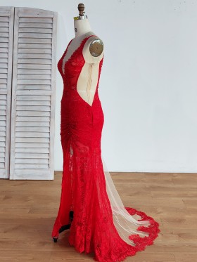 sexy sheer lace and tulle long prom dress