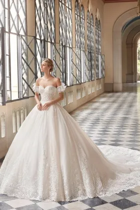 princess sweetheart bow short sleeves lace wedding ball gown