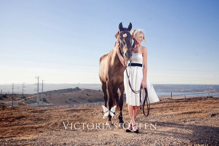strapless ivory satin simple knee length short bridal gown with black belt strapless ivory satin simple knee length short bridal gown with black belt